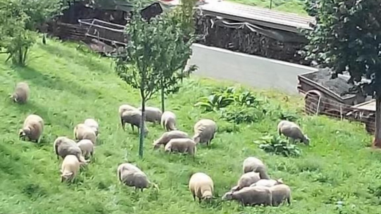 Photo of Others in Chardonne