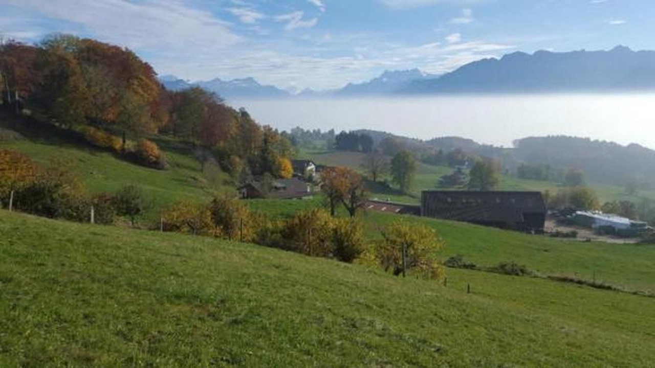 Photo of Others in Chardonne