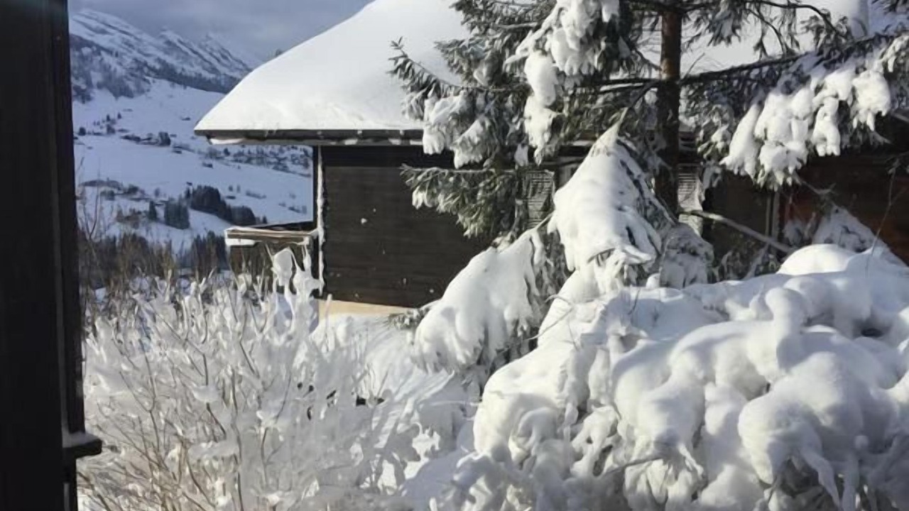 Photo of Others in Wildhaus