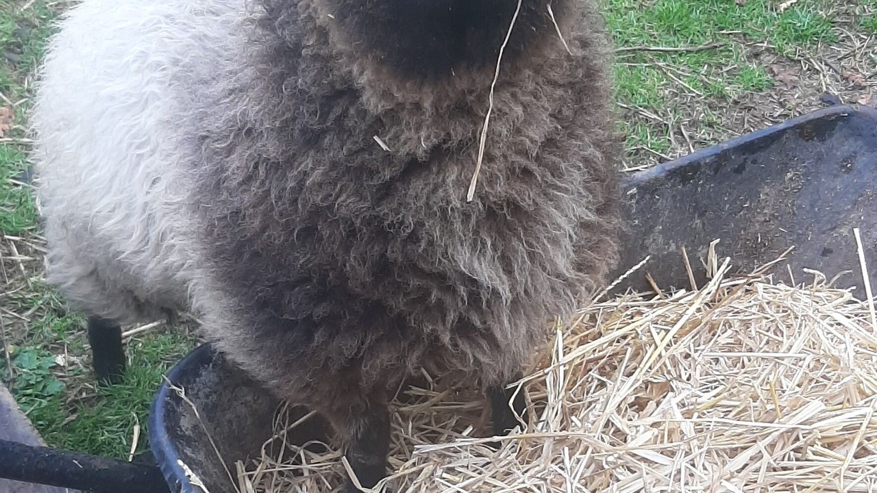 Photo of Outdoor in Mielan