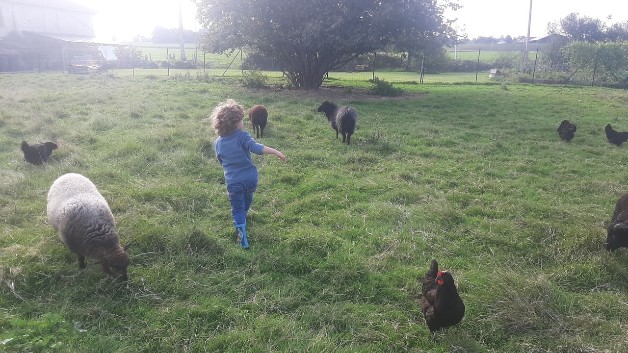 Photo of Outdoor in Mielan