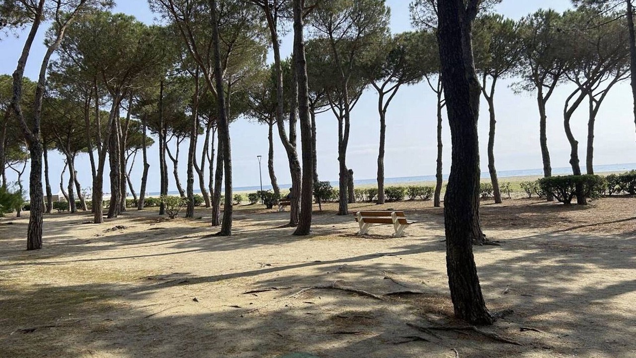 Photo of Others in Argeles Plage