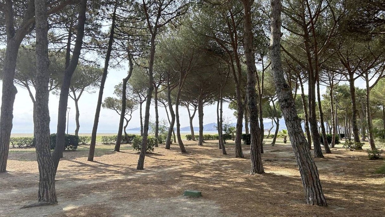 Photo of Outdoor in Argeles Plage