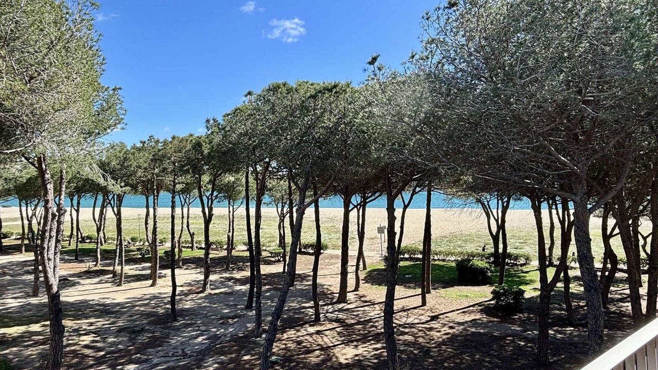 Photo of Outdoor in Argeles Plage