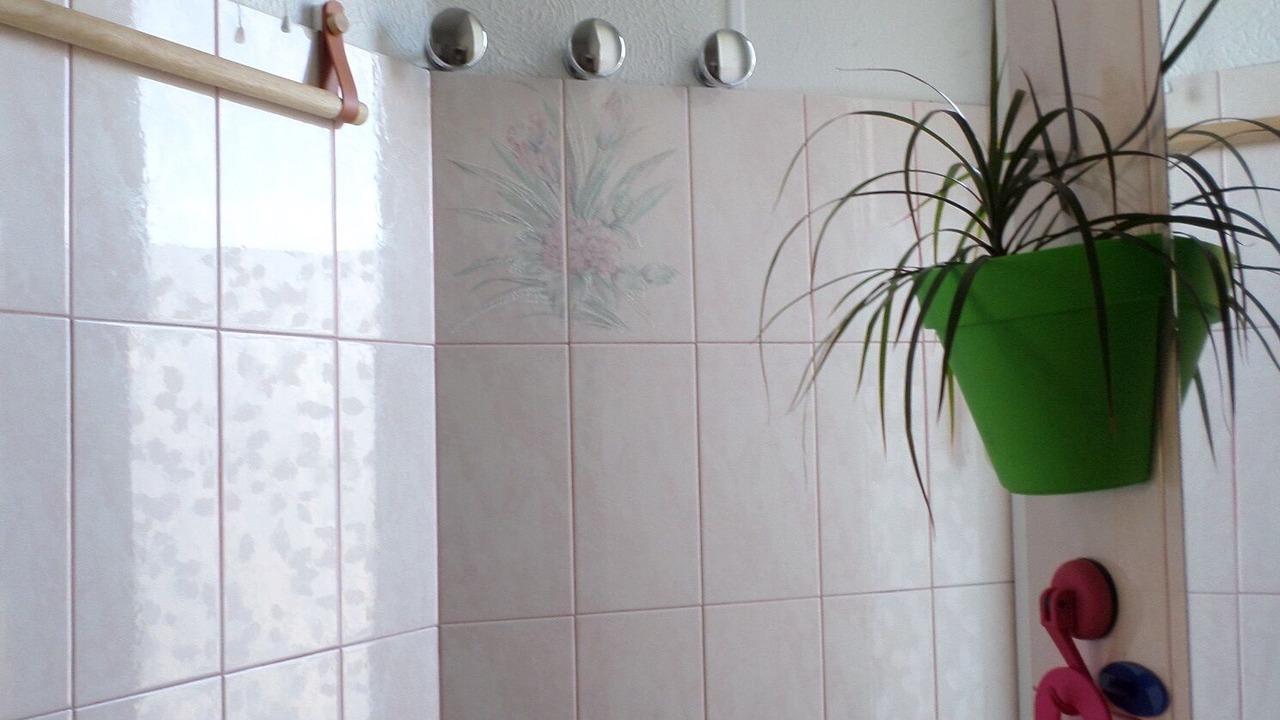 Photo of Bathroom in Saint-Servan