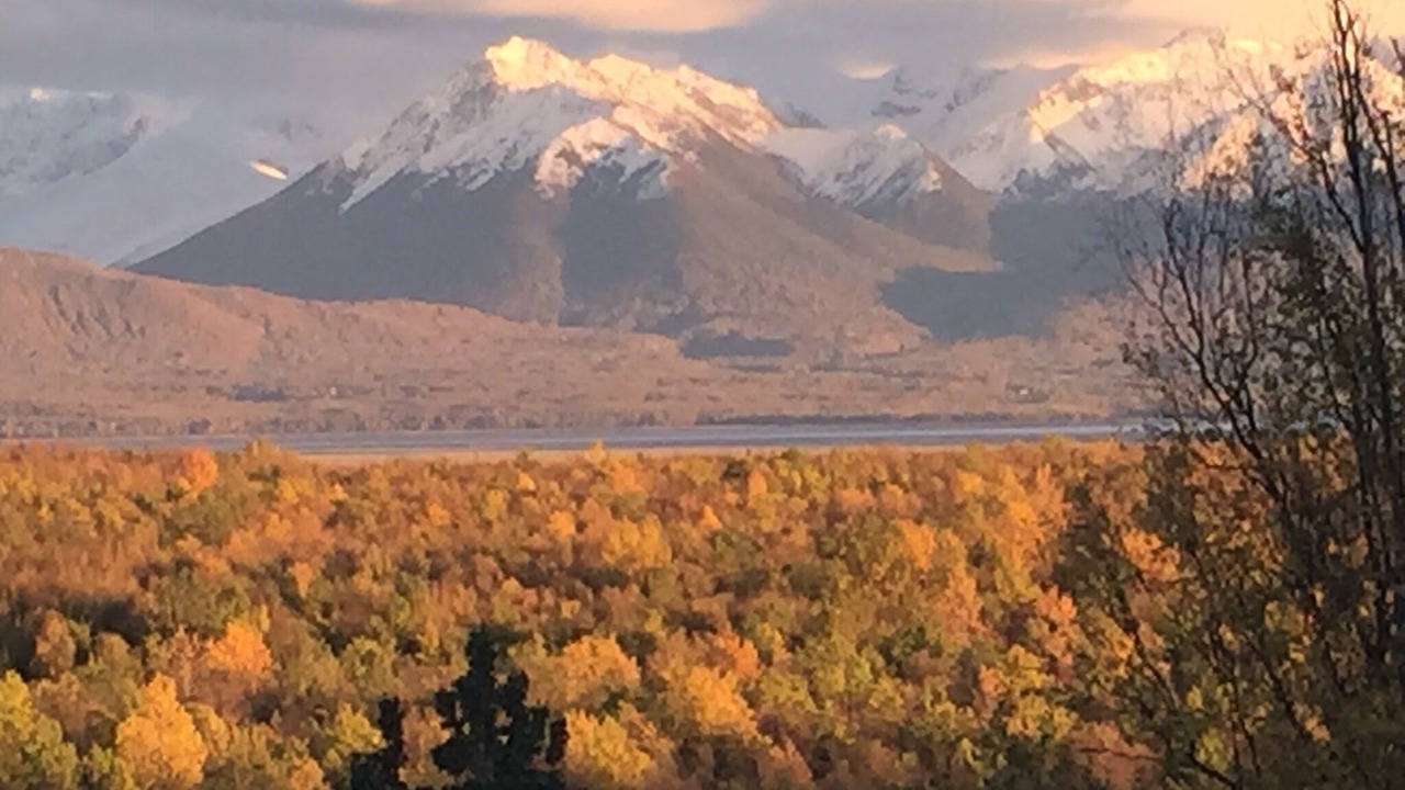 Photo of Others in Knik-Fairview
