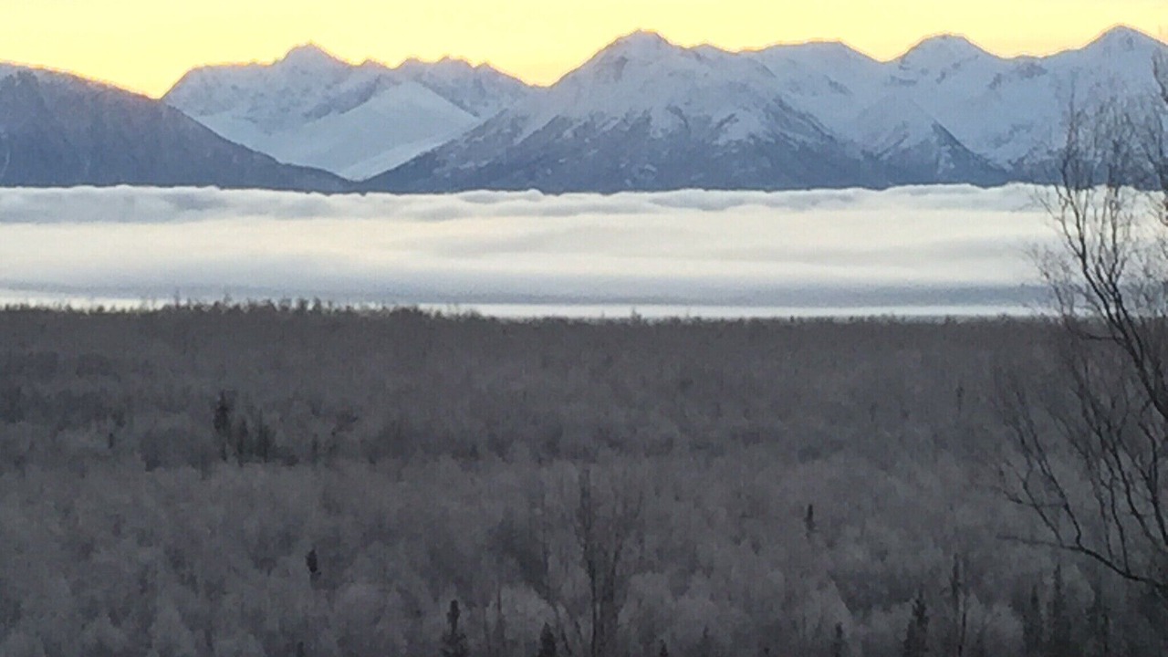 Photo of Others in Knik-Fairview