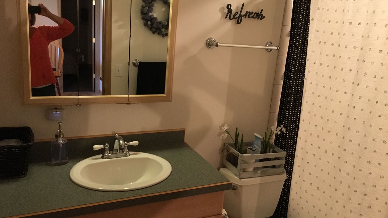 Photo of Bathroom in Knik-Fairview