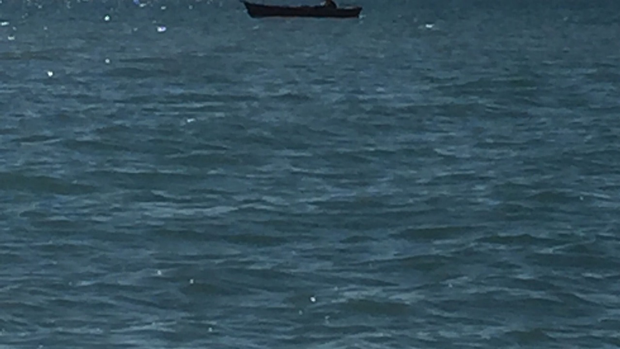 Photo of Others in Englewood