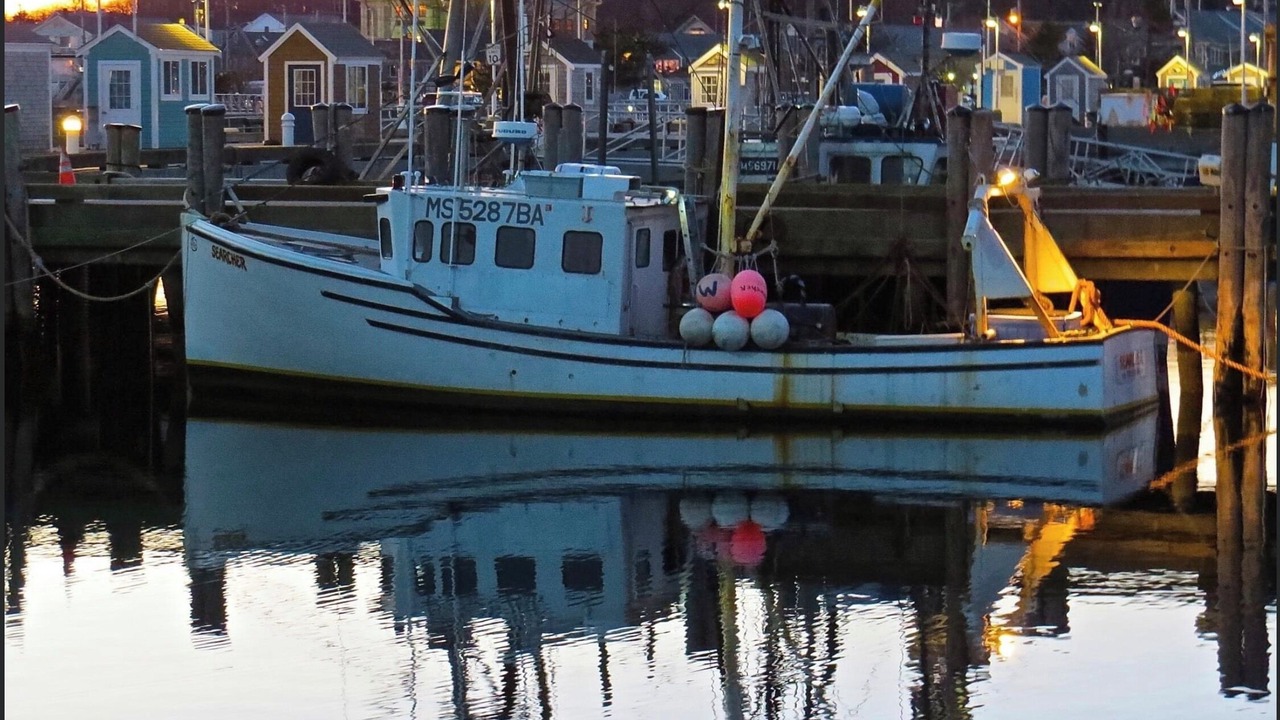 Photo of Others in Northwest Harwich
