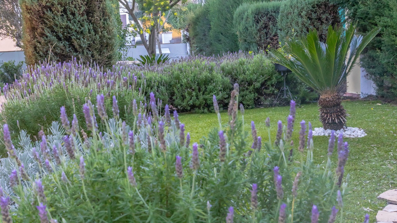 Photo of Outdoor in Carcaixent