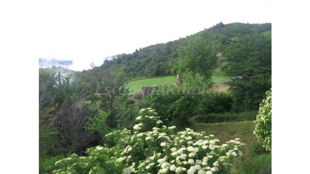 Photo of Outdoor in Denuy