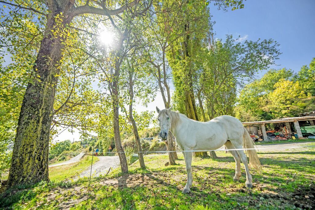 Photo of Outdoor in Denuy