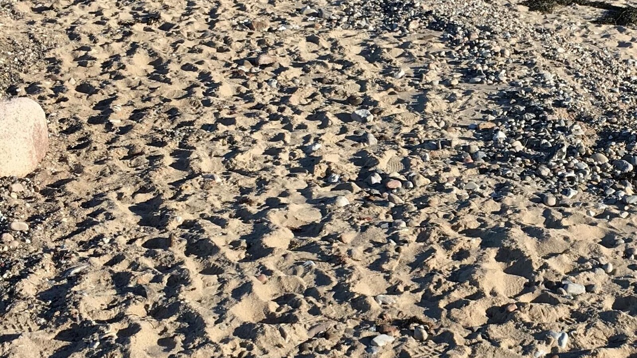 Photo of Others in Smidstrup Strand