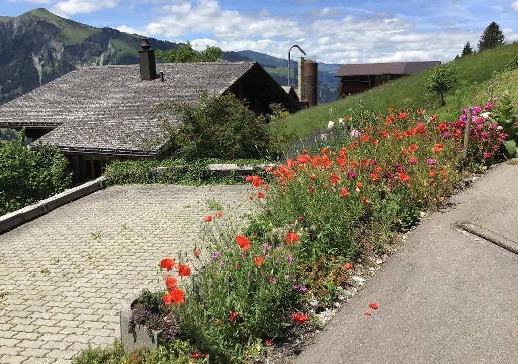 Photo of Others in Lenk