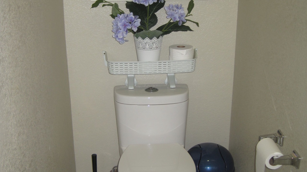 Photo of Bathroom in Citrus Heights