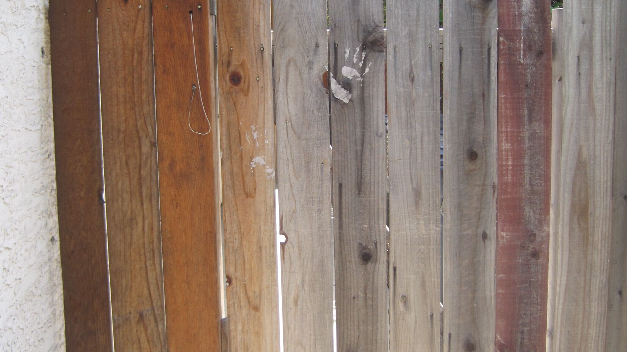 Photo of Outdoor in Citrus Heights