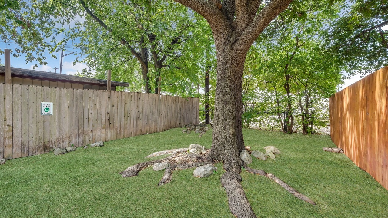 Photo of Outdoor in North San Antonio - SAT