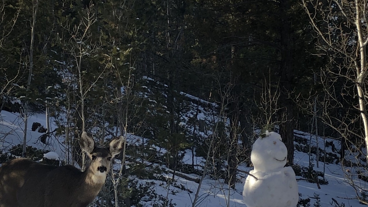 Photo of Outdoor in Lake George