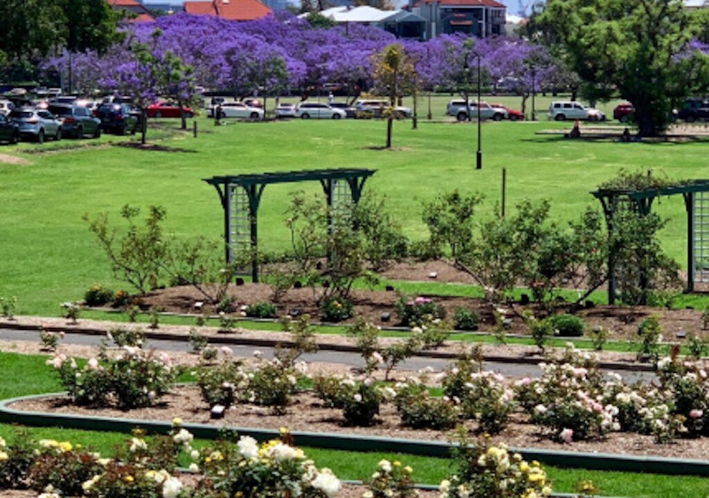 Photo of Outdoor in New Farm