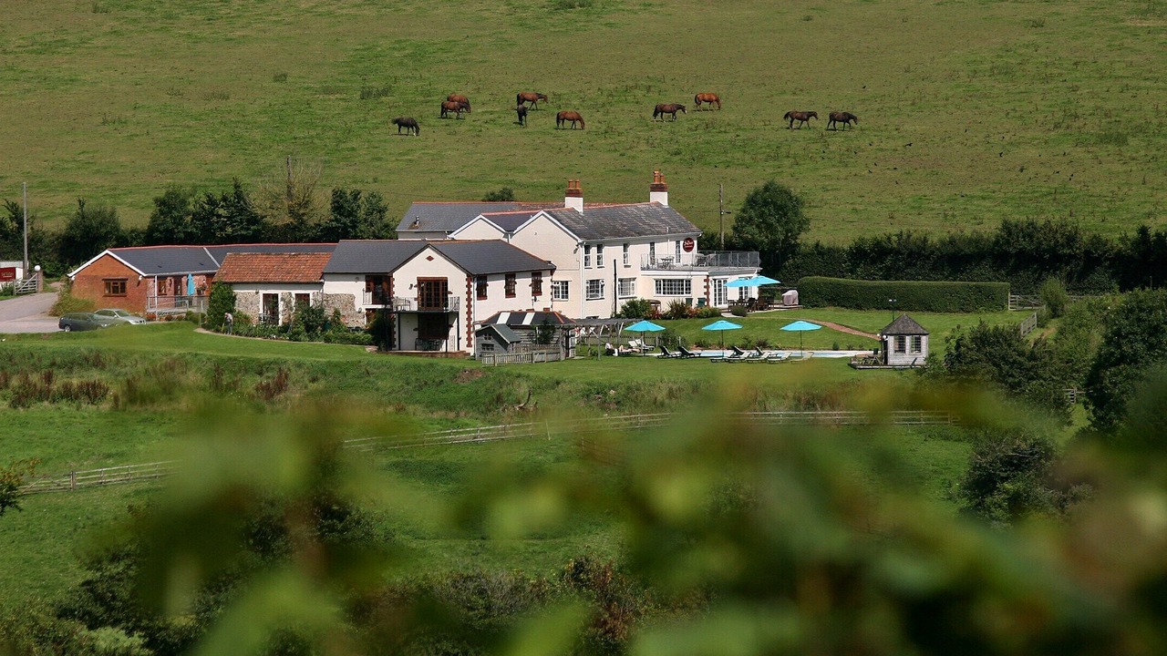 Photo of Outdoor in Sidmouth