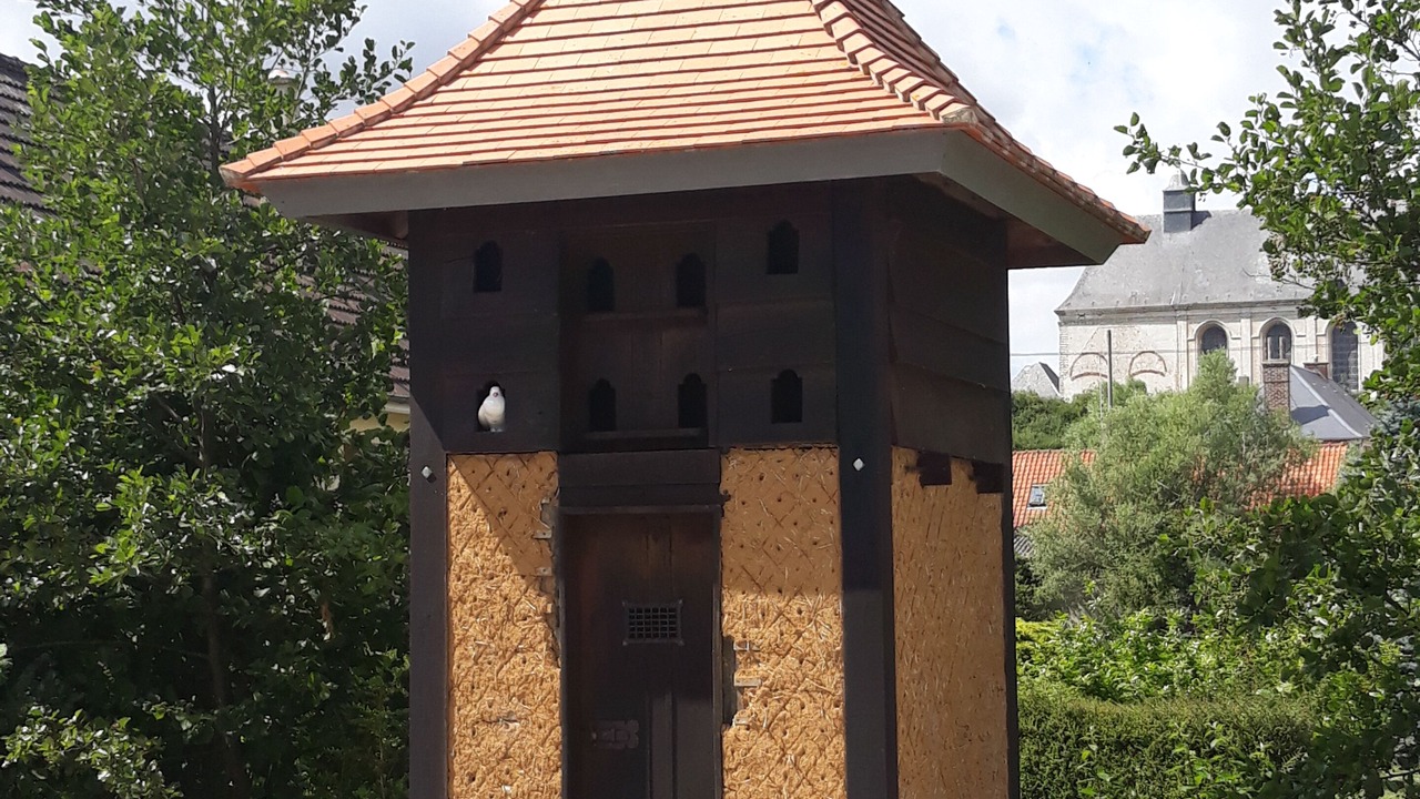 Photo of Outdoor in Licques