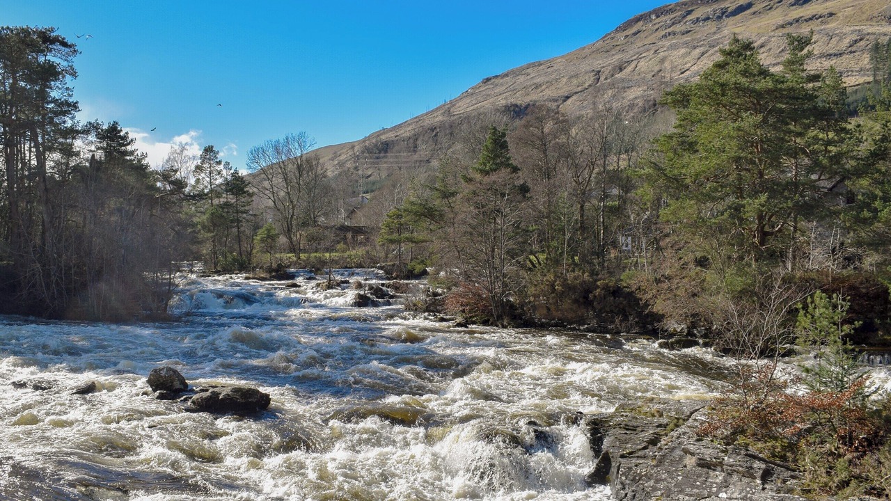Photo of Others in Lochearnhead