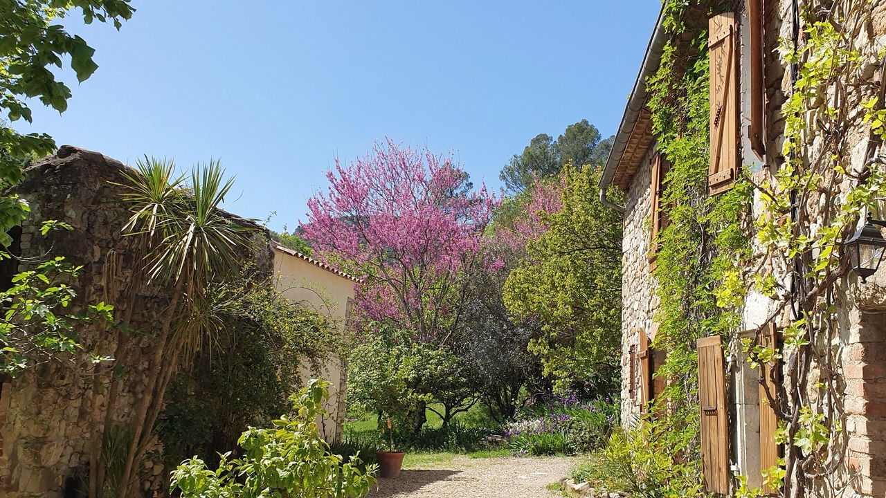 Photo of Outdoor in Saint-Christol-Les-Ales