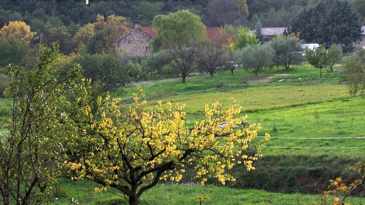 Photo of Outdoor in Saint-Christol-Les-Ales