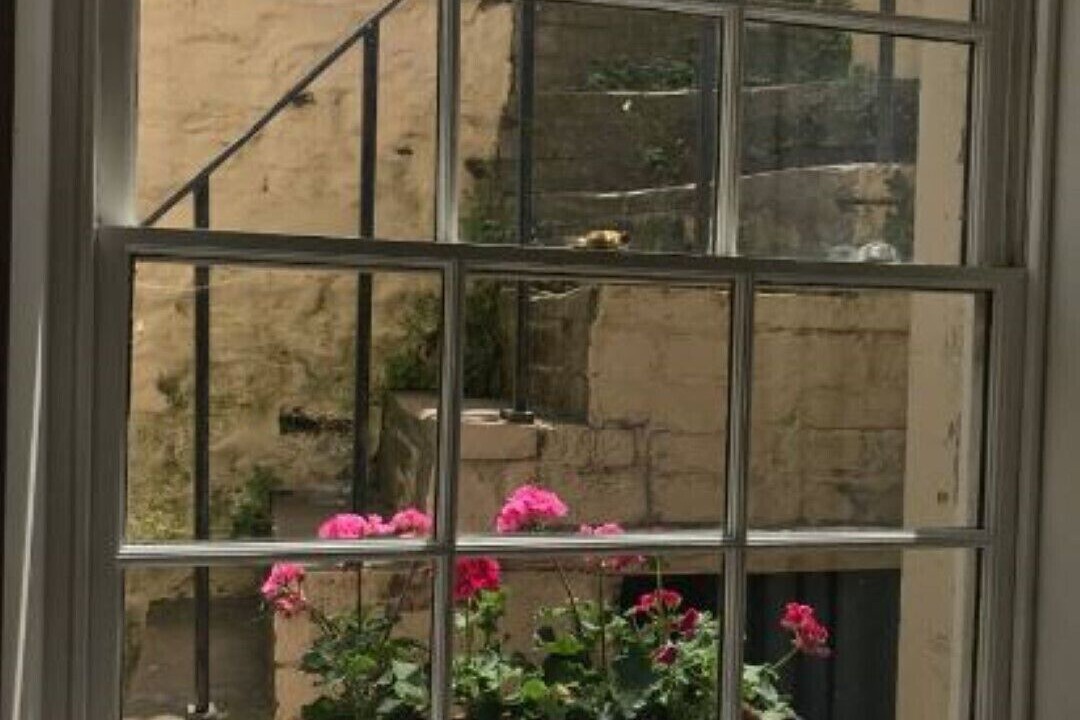 Photo of Others in St Leonards-On-Sea