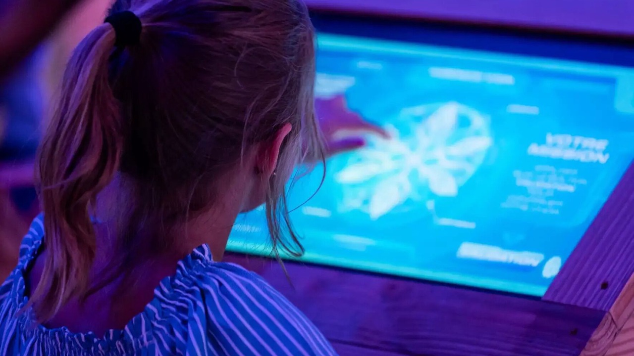 Photo of Others in Dienne