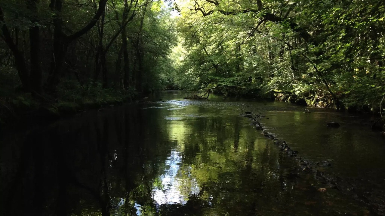 Photo of Others in Correze