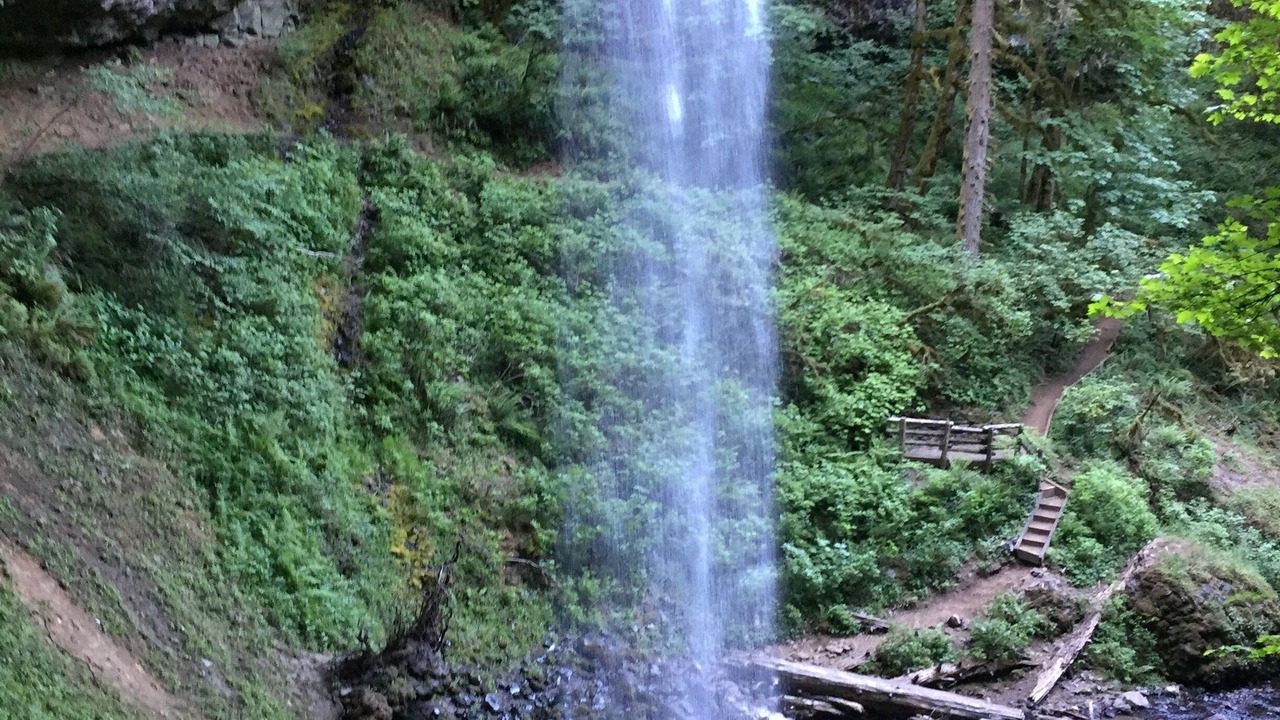 Photo of Outdoor in West Stayton