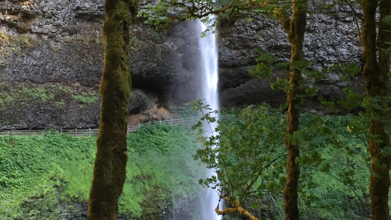 Photo of Others in West Stayton