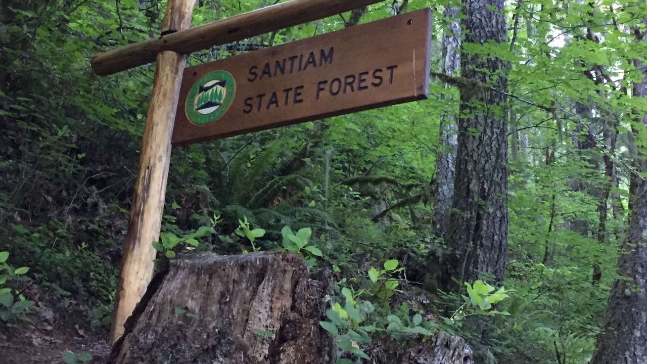 Photo of Outdoor in West Stayton