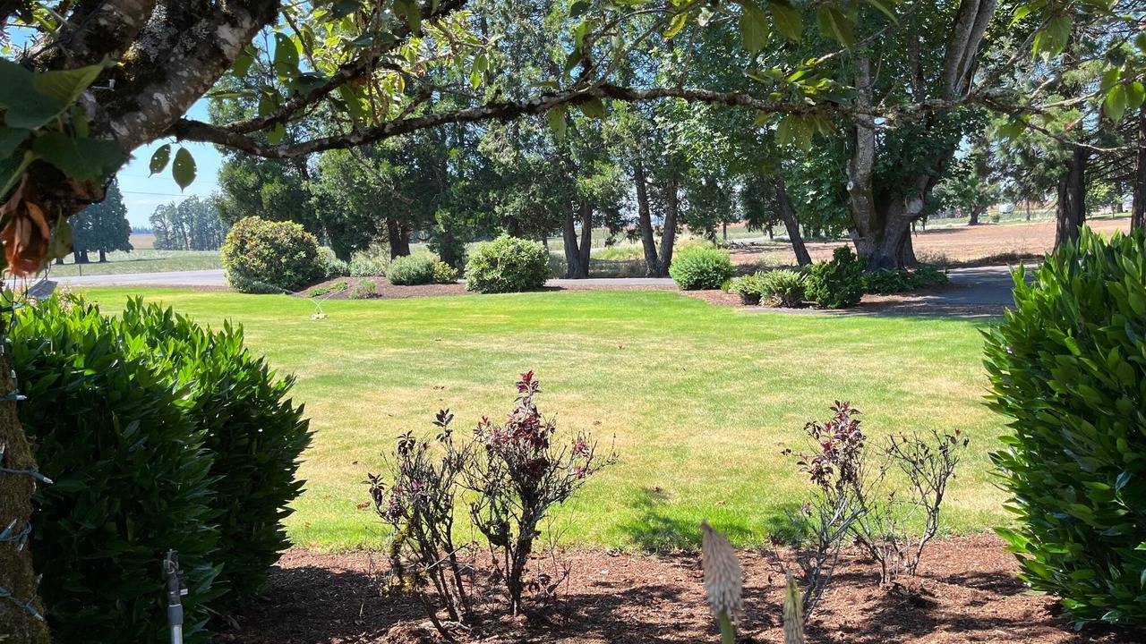 Photo of Outdoor in West Stayton