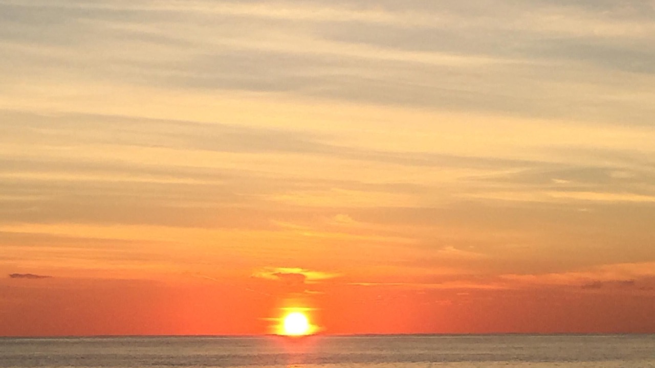 Photo of Others in East Fort Lauderdale