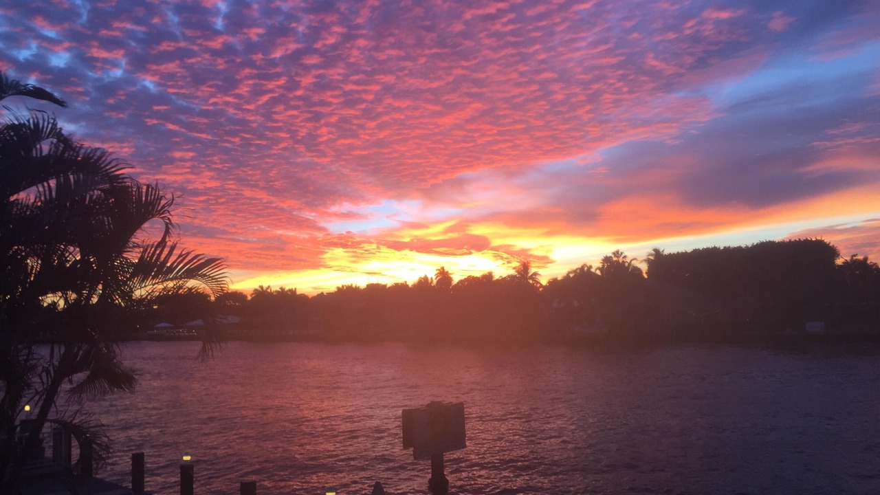 Photo of Others in East Fort Lauderdale