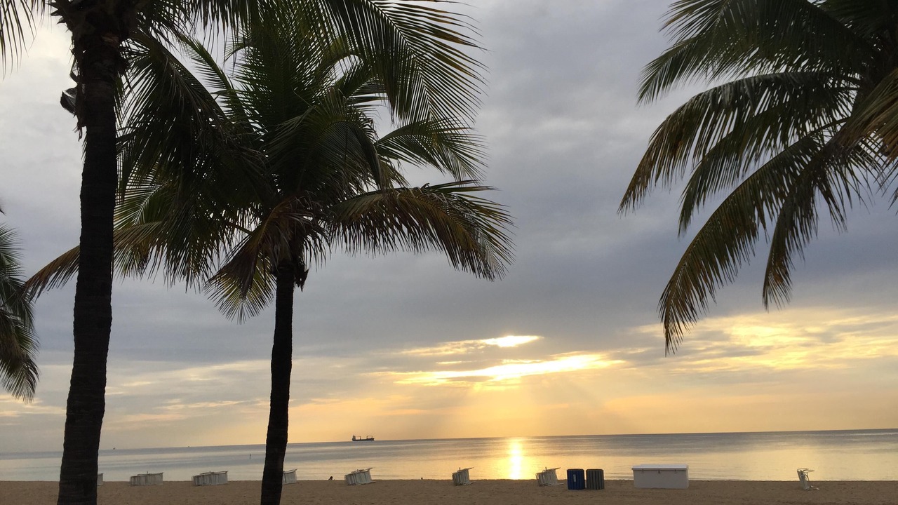 Photo of Others in East Fort Lauderdale