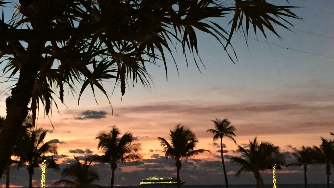 Photo of Others in East Fort Lauderdale