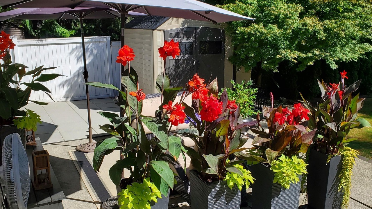 Photo of Patio Balcony in Kirkland