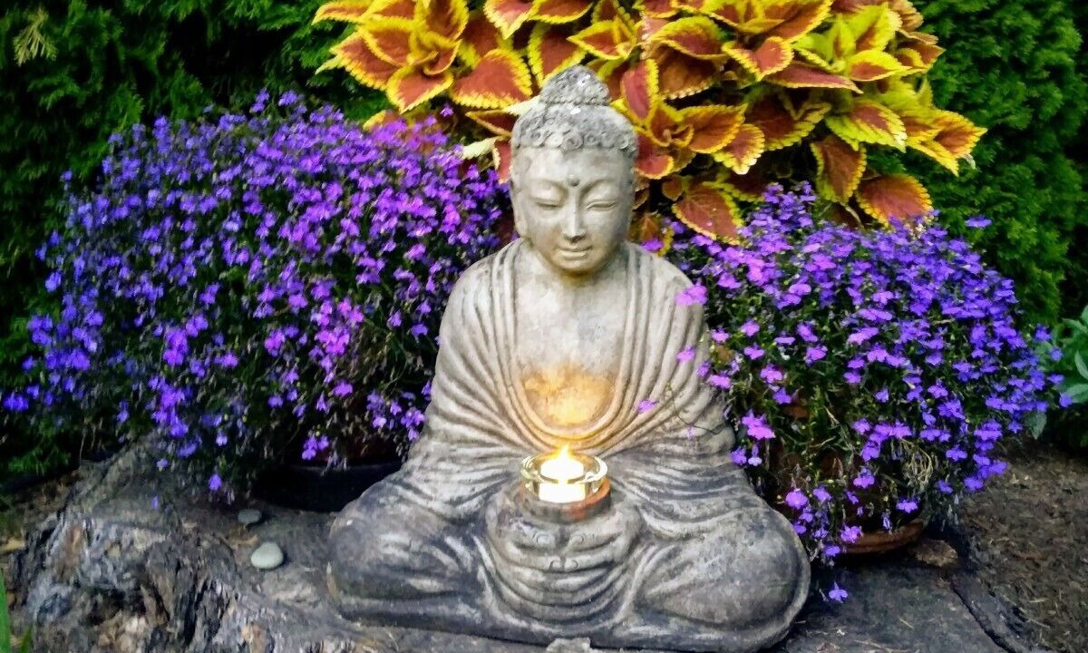 Photo of Outdoor in Kirkland