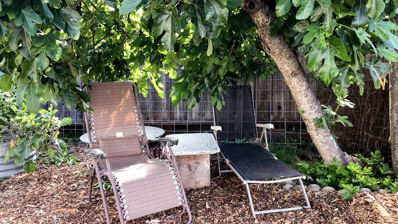 Photo of Outdoor in Burbank Gardens Neighborhood Association