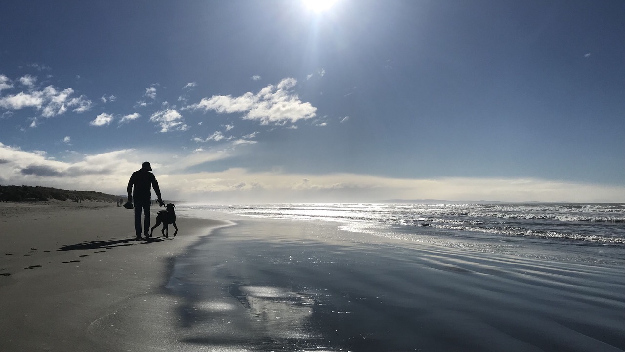 Photo of Others in Port Willunga