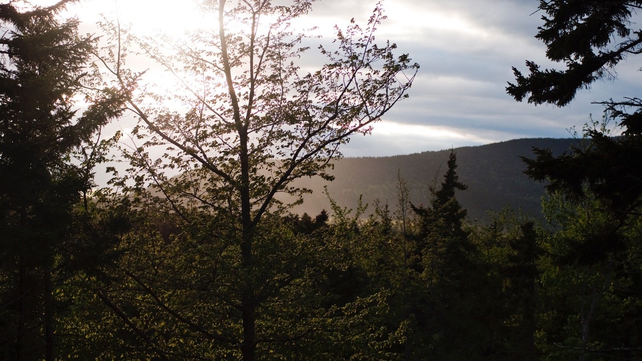 Photo of Others in Southwest Harbor