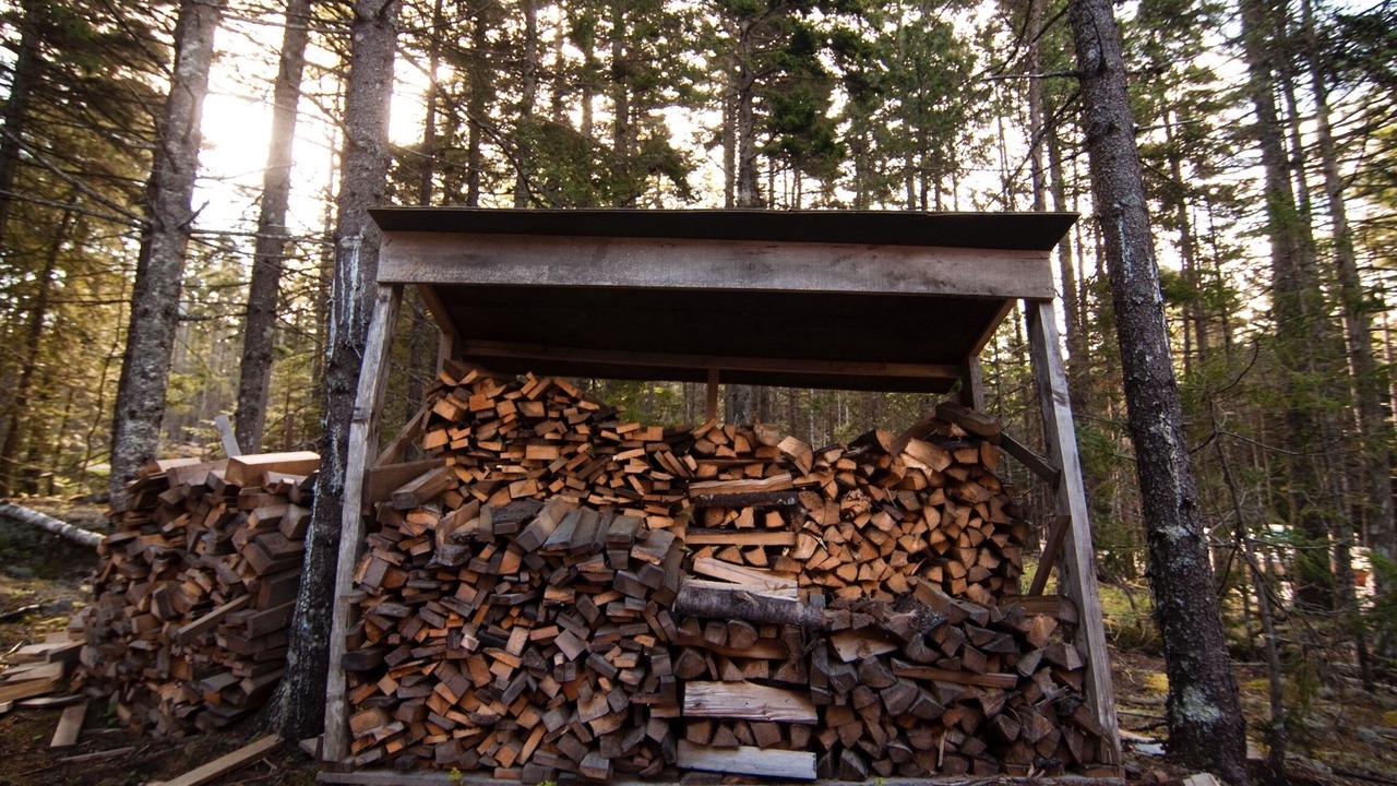 Photo of Outdoor in Southwest Harbor