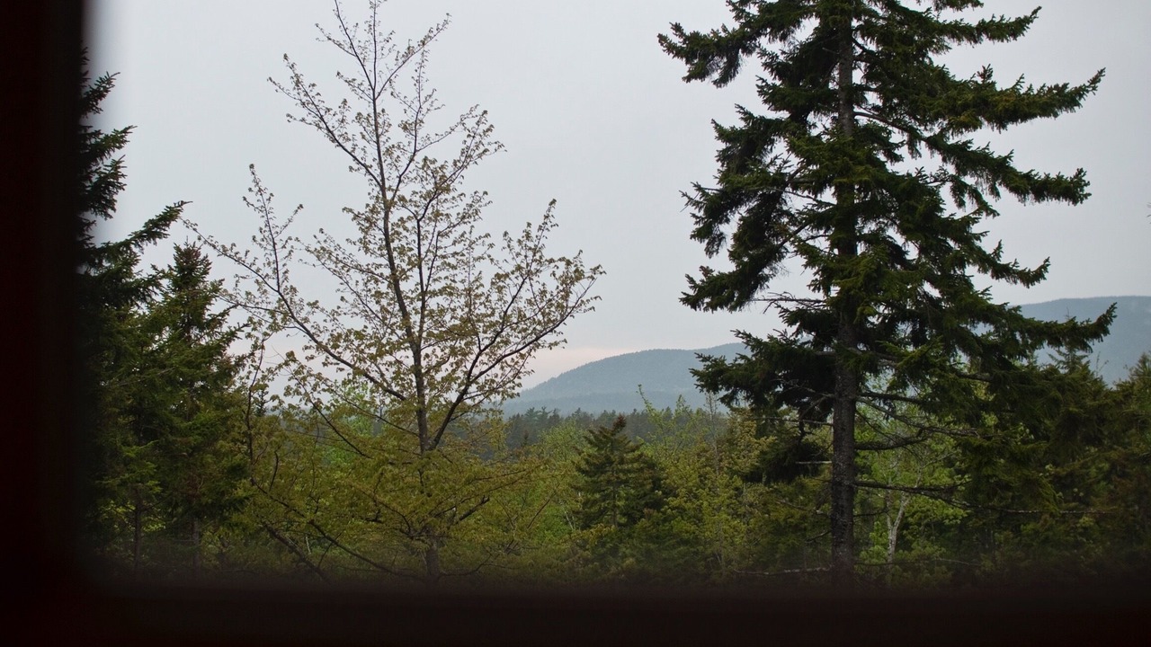 Photo of Others in Southwest Harbor