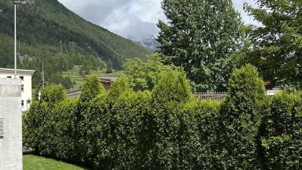 Photo of Others in Zernez