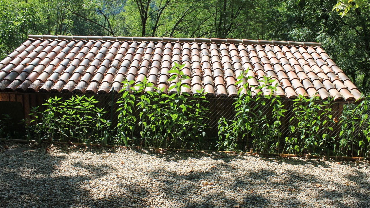 Photo of Outdoor in Saint-Antonin Noble Val