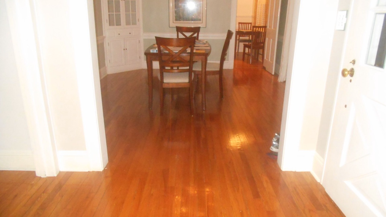 Photo of Others in Forest Hills